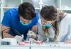 best-dental-schools-in-florida